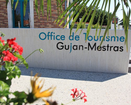THE 15 BEST Things to Do in Gujan-Mestras - 2023 (with Photos) - Tripadvisor