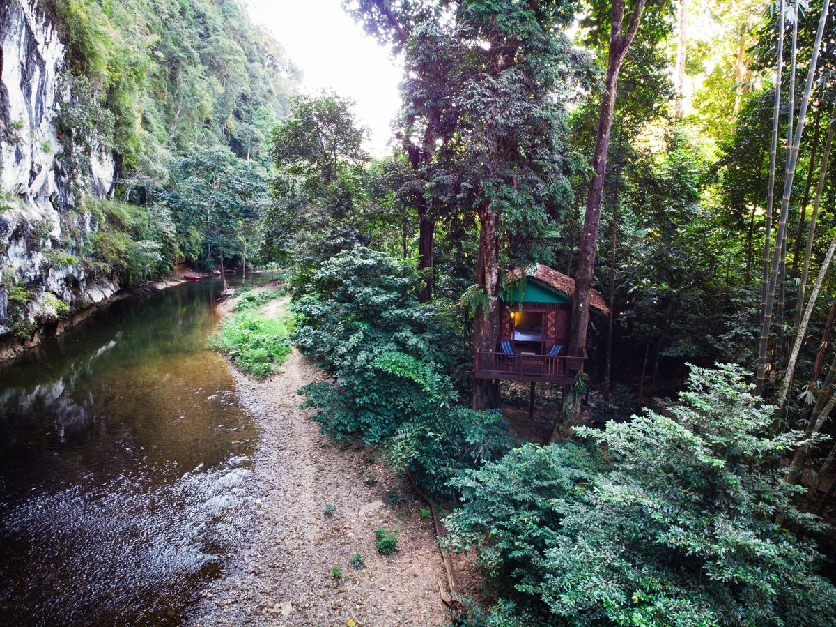 Дом на дереве - отзыв о Rock And Treehouse Resort, Национальный парк  Као-Сок, Таиланд - Tripadvisor