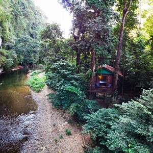 Our Jungle Camp - Eco Resort, Parque Nacional de Khao Sok – Preços  atualizados 2023
