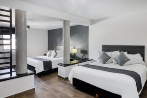 Habitación y suite