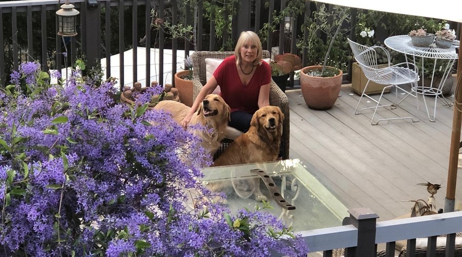 Pam with her two Golden retrievers on the Amanzi deck above the pool