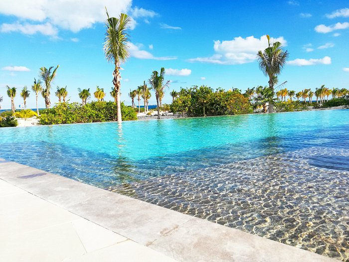 excursions from majestic elegance costa mujeres