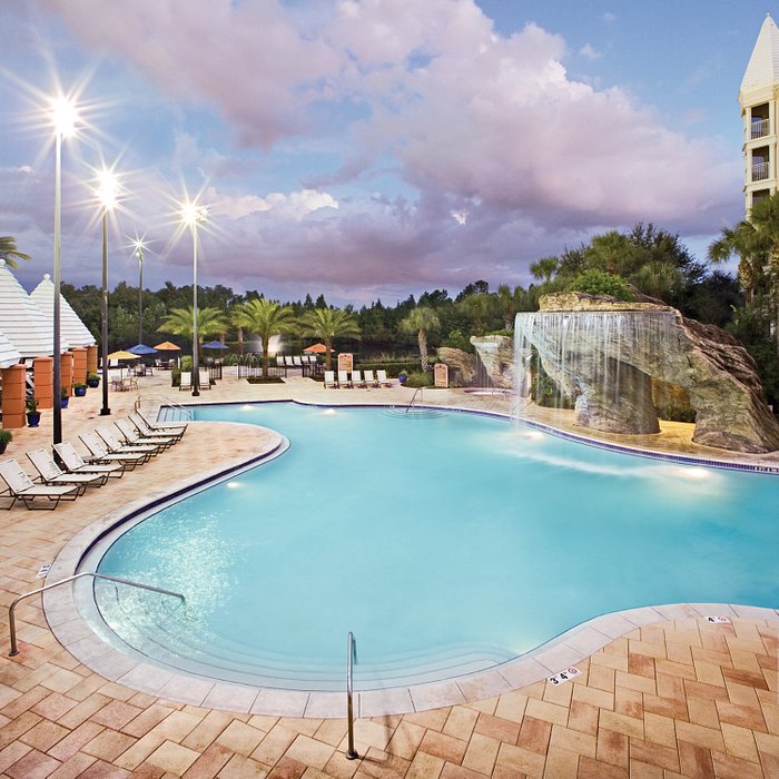 Hilton Grand Vacations Club SeaWorld Orlando Pool Pictures & Reviews -  Tripadvisor