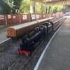 ButtonsndCinders