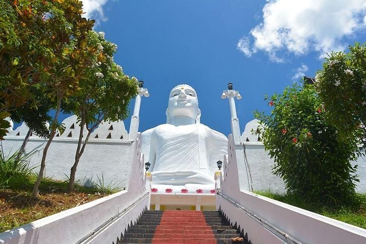 (Colombo) Excursion Privée D'une Journée à Kandy Au Départ De Colombo ...