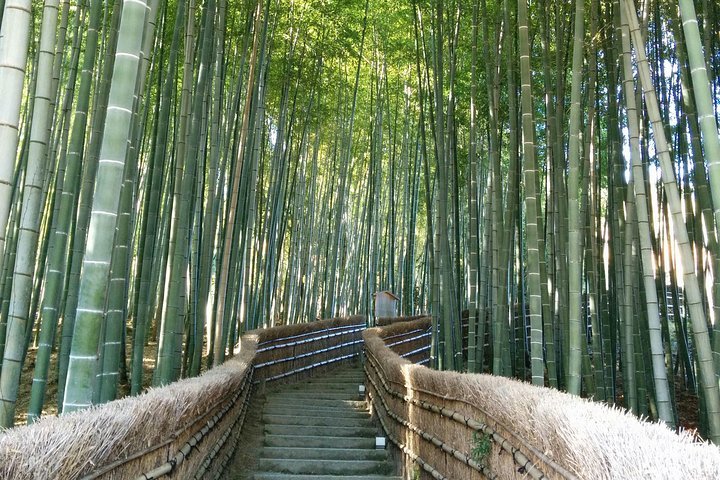 Seiko ji Temple Kyoto Lohnt es sich Aktuell f r 2024 Mit fotos