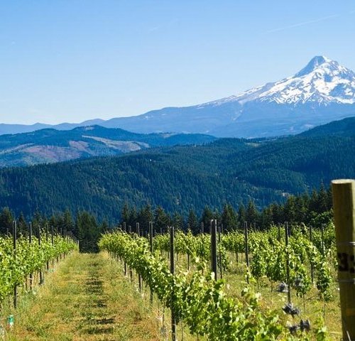 THE 15 BEST Things to Do in Hood River - 2022 (with Photos)