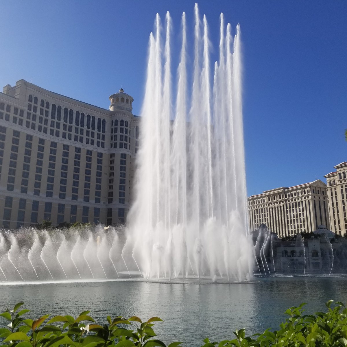 Casino at Bellagio - All You Need to Know BEFORE You Go (2024)