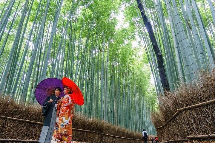 Arashiyama Bamboo Grove, Arashiyama & Sagano, Kyoto