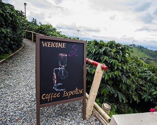 coffee tours from salento