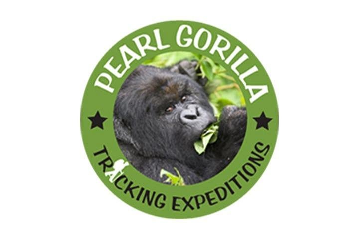 Pearl Gorilla Tracking Expeditions image