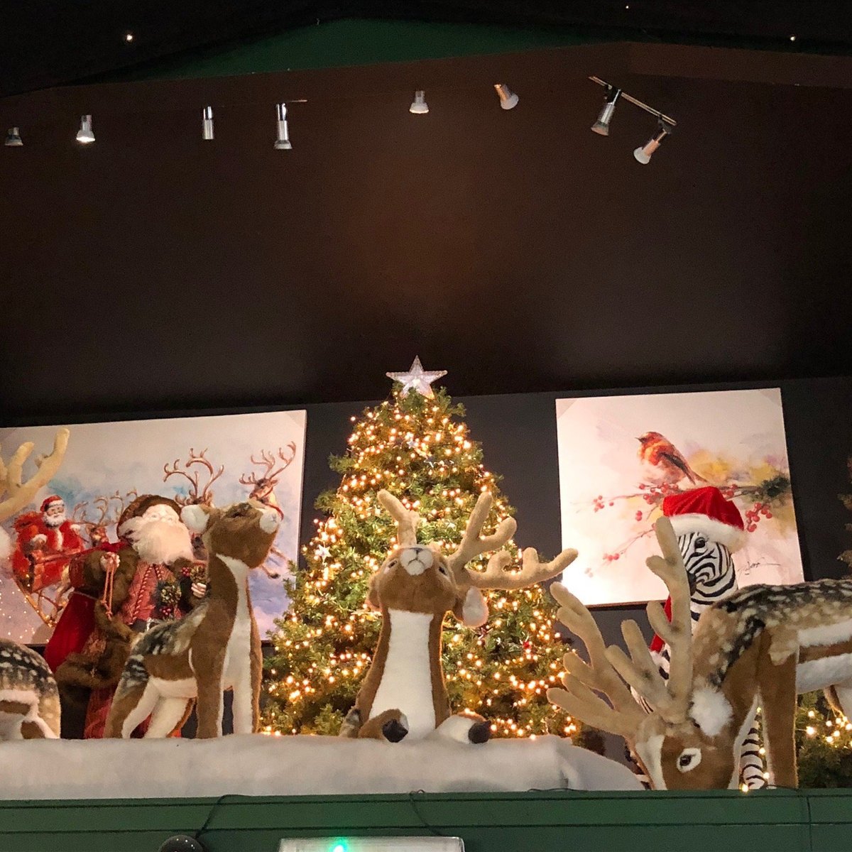 Nutcracker Christmas Shop (Crieff) - 2021 All You Need to Know Before