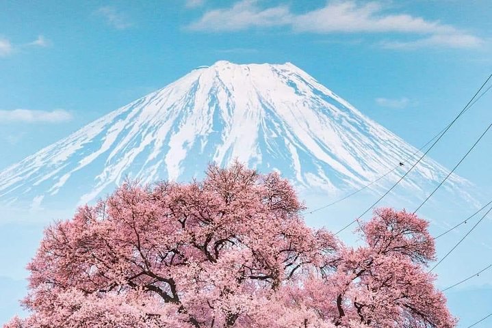 2024 Shinjuku Mt Fuji Day Tour With English Speaking Guide   Caption 