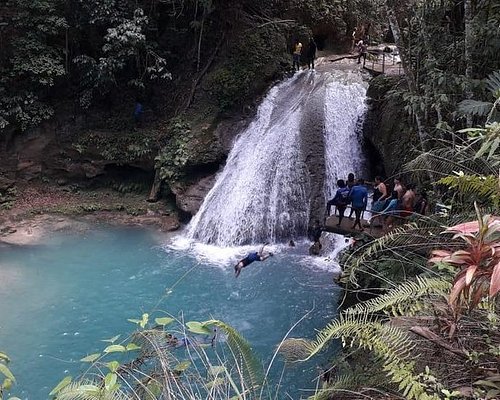 ocho rios excursions on your own