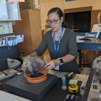 Post-A-Nut, Hoolehua Post Office (Molokai) - All You Need to Know ...