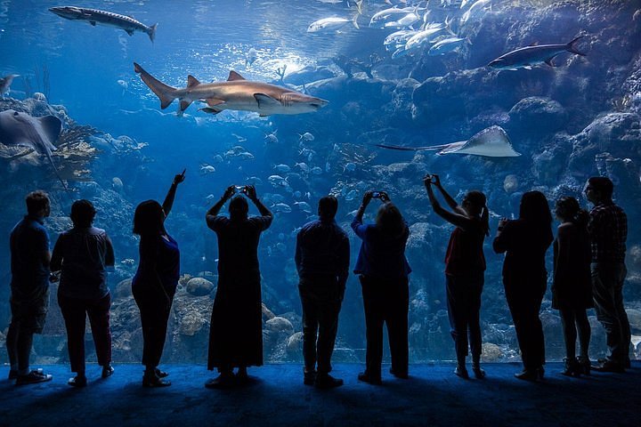 The Florida Aquarium (@floridaaquarium) • Instagram photos and videos