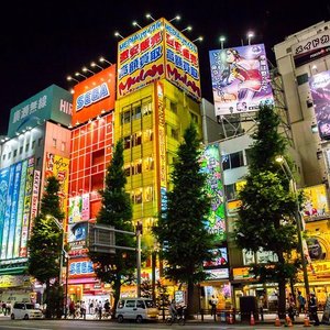 22年 猫カフェ Mocha秋葉原店 行く前に 見どころをチェック トリップアドバイザー