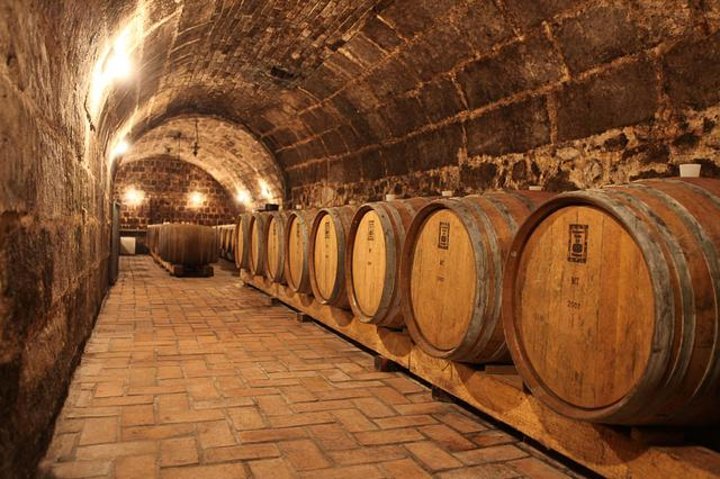 2024 Half-day Wine Tasting Tour in Etyek Wine Country near Budapest