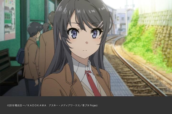  Anime Rascal Does Not Dream of Bunny Girl Senpai