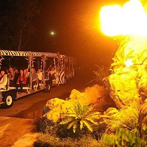 Night Safari (Singapore) - All You Need to Know BEFORE You Go