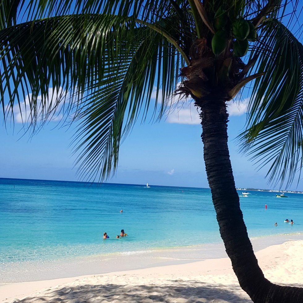 Cayman 7 Mile Beach Map: Your Ultimate Guide to Paradise