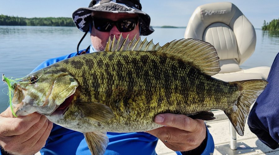 Trophy smallmouth bass