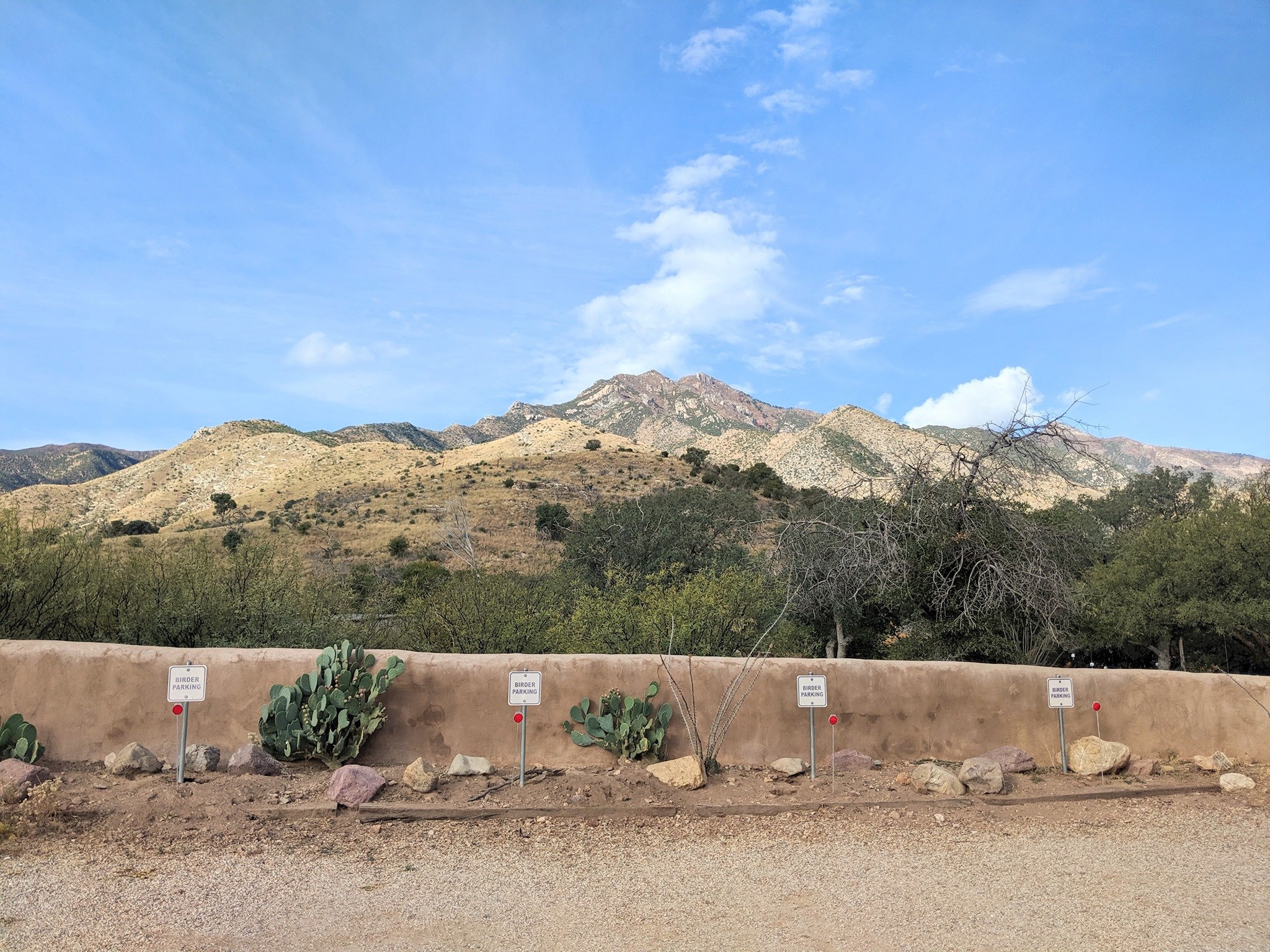 Southeastern Arizona Bird Observatory - All You Need To Know BEFORE You ...