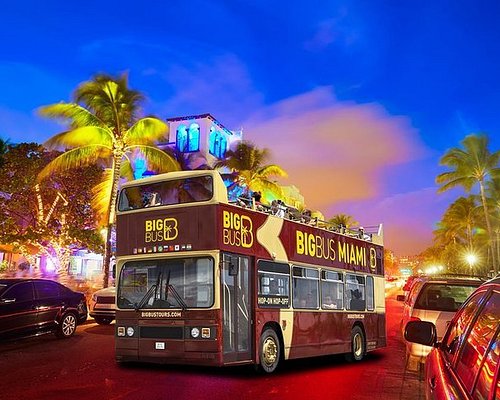 best tours miami