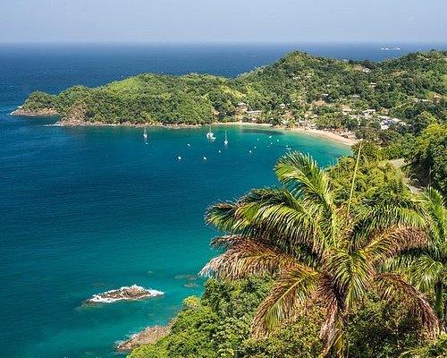 THE 10 Tobago Tours & Excursions for 2023