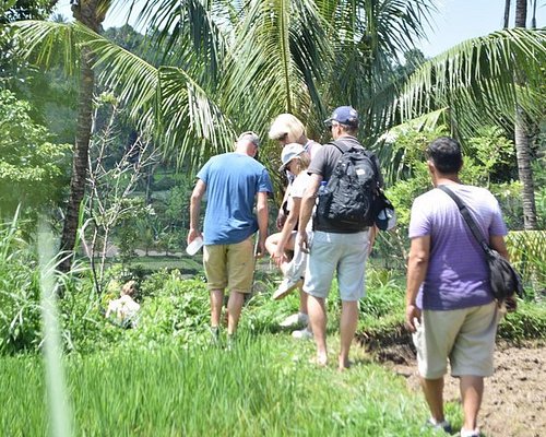lombok day trip
