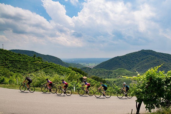 Blue prosecco sales touring bike