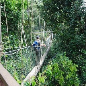 The Dusun: Jungle Trekking Adventure to Waterfall with Jungle Guide 2024 -  Quala Lumpur