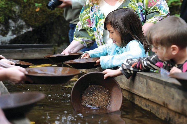Gold Panning Kit Great for learning panning
