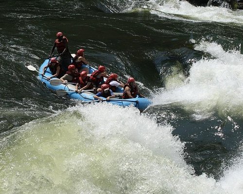 rishikesh rafting tour