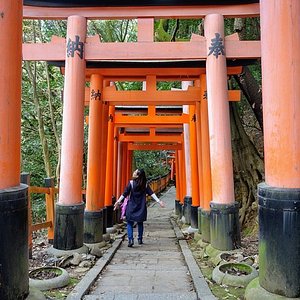 7 day guided tour japan