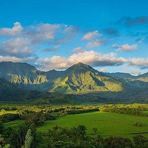 hawaii movie tours kauai