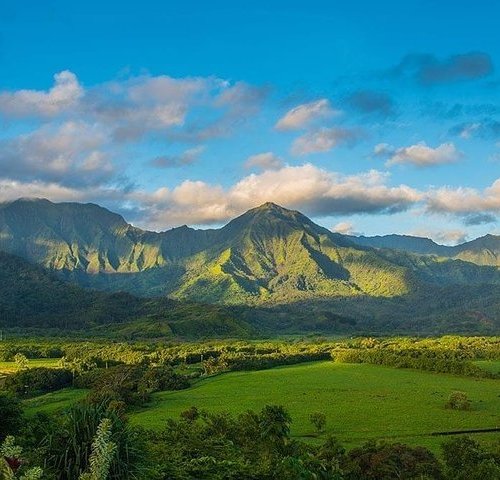 THE 15 BEST Things to Do in Kapaa - 2023 (with Photos) - Tripadvisor