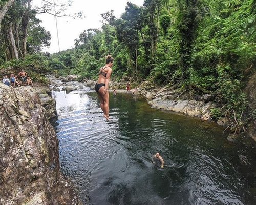 el yunque tours tripadvisor