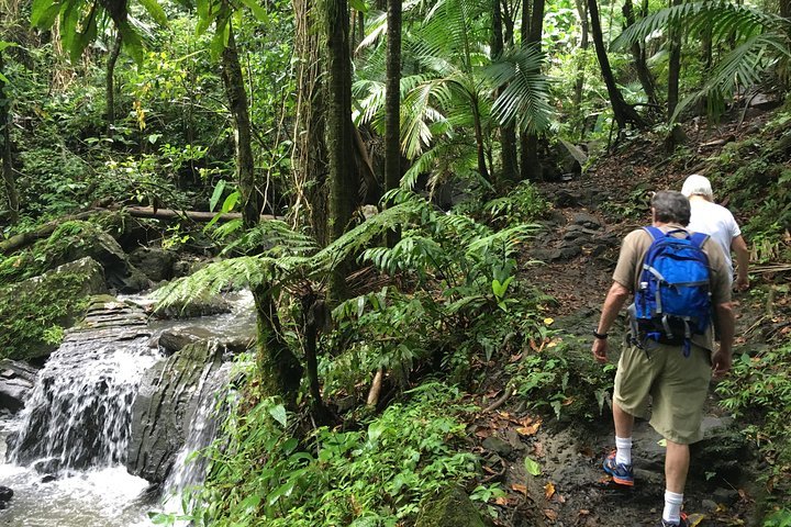 El yunque off the 2025 beaten path hiking tour