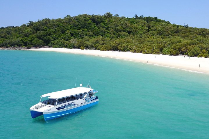 THE 10 BEST Great Barrier Reef Tours For 2022 With Prices Tripadvisor   Caption 