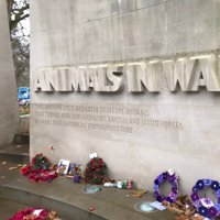 Animals in War Memorial, London