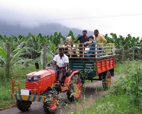 thekkady wildlife tour