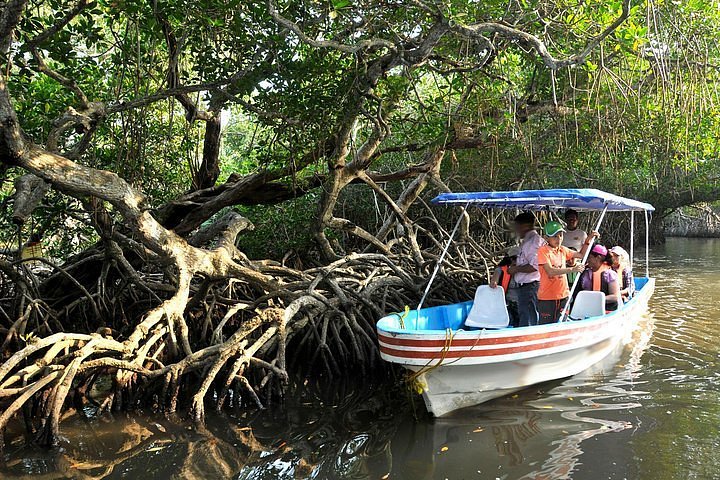 2023 Mandinga And Boat Trip Tour provided by Tranvias Veracruz