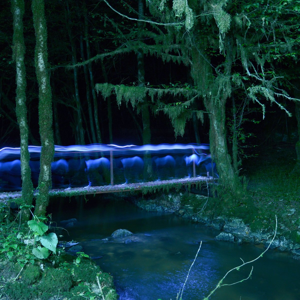 Ruisseau Noire Fontaine & sa source souterraine (SerrieressurAin