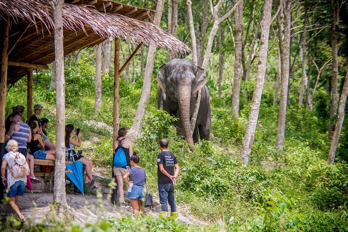 Elephant l'éléphant Tapis Thaïlande Elephant Paisley 