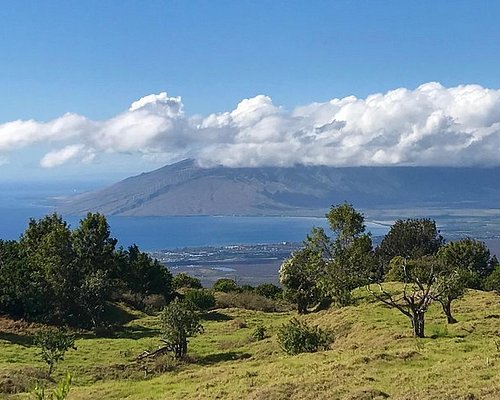 maui legend tours reviews