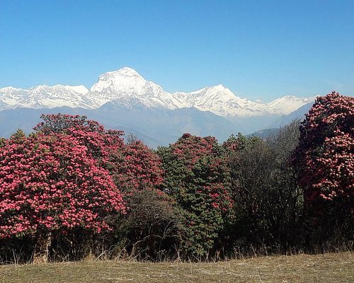 tourist tour pokhara