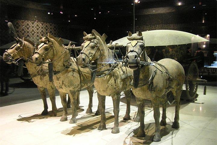 2023 Xian Terracotta Warriors And City Wall Private Day Tour