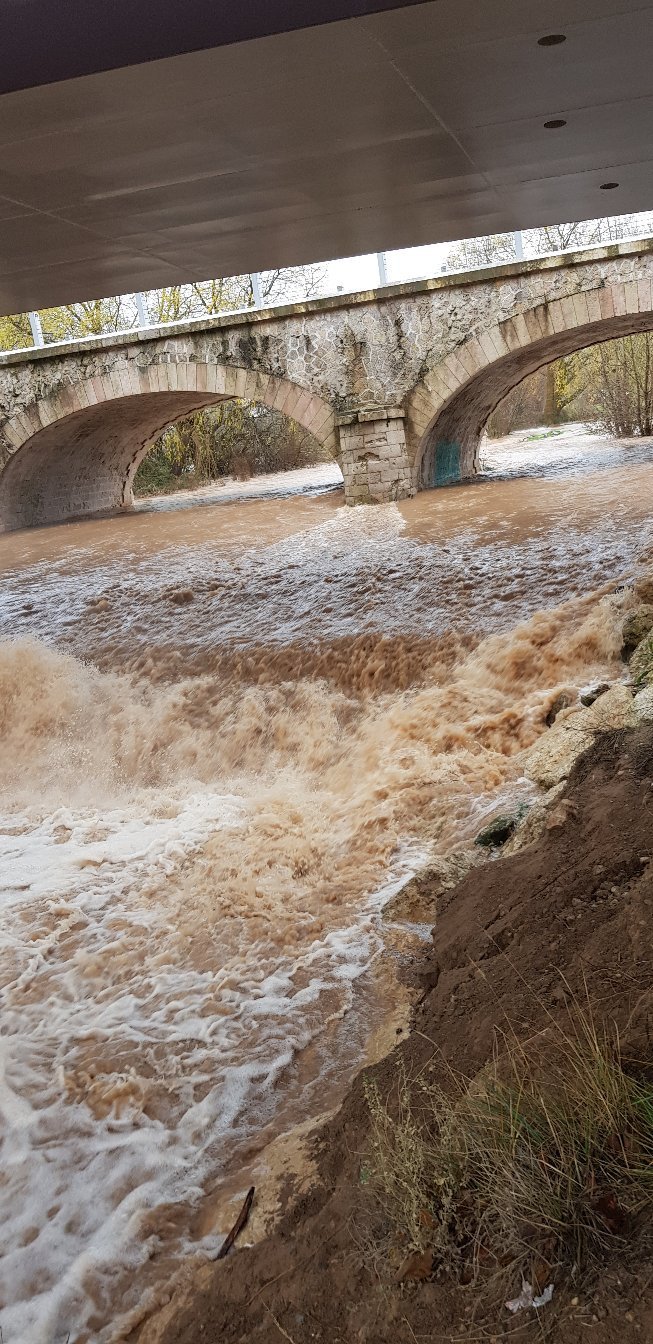 Imagen 10 de Parque Fuentes Blancas