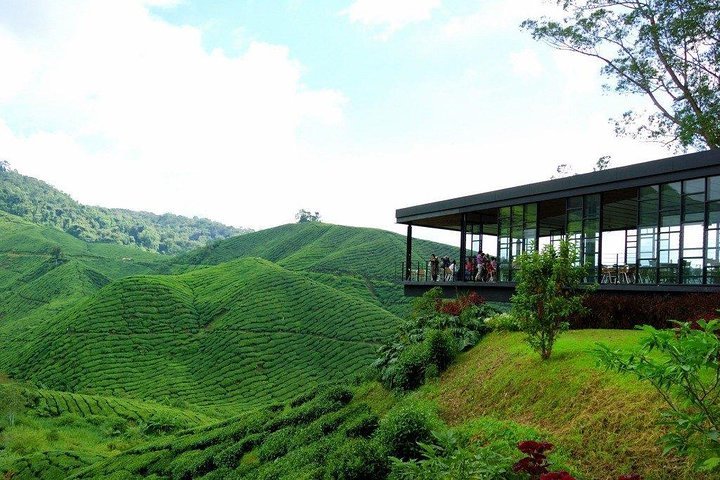 2023 Cameron Highlands Full Day Tour Reserve Now   Caption 